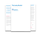 The Leaky Bucket white paper