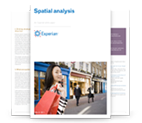 Spatial analysis white paper