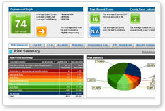 View individual business performance