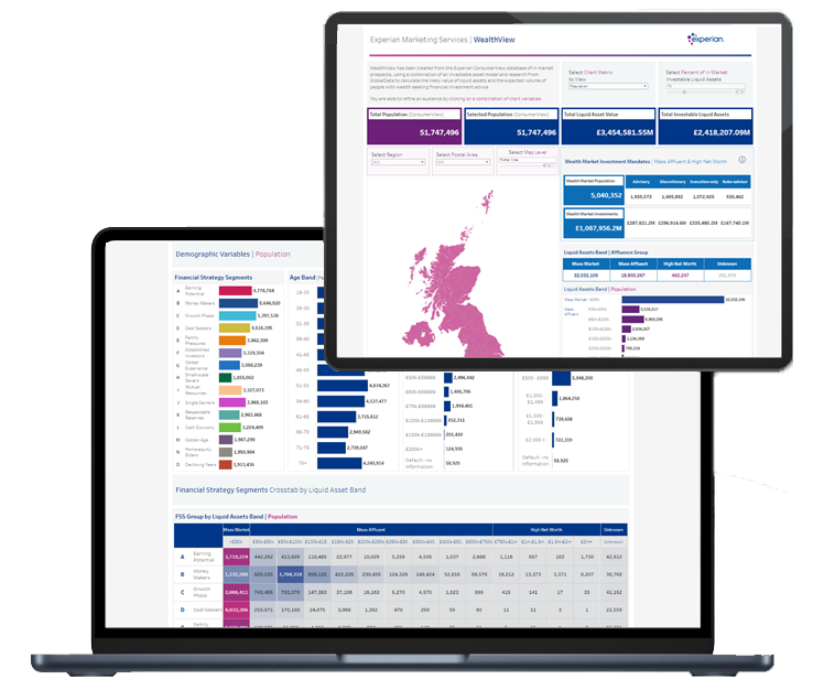 WealthView dashboard